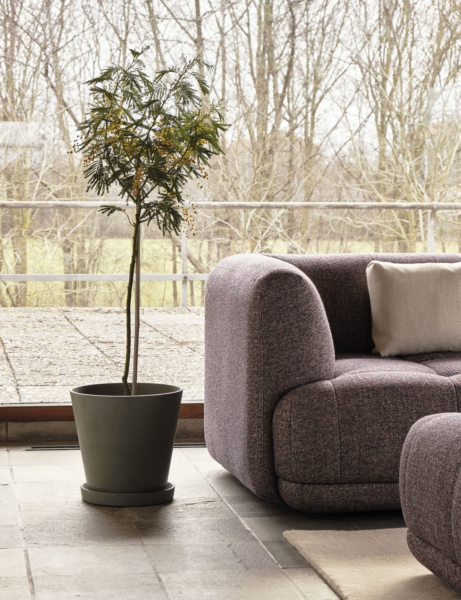 Flowerpot with Saucer